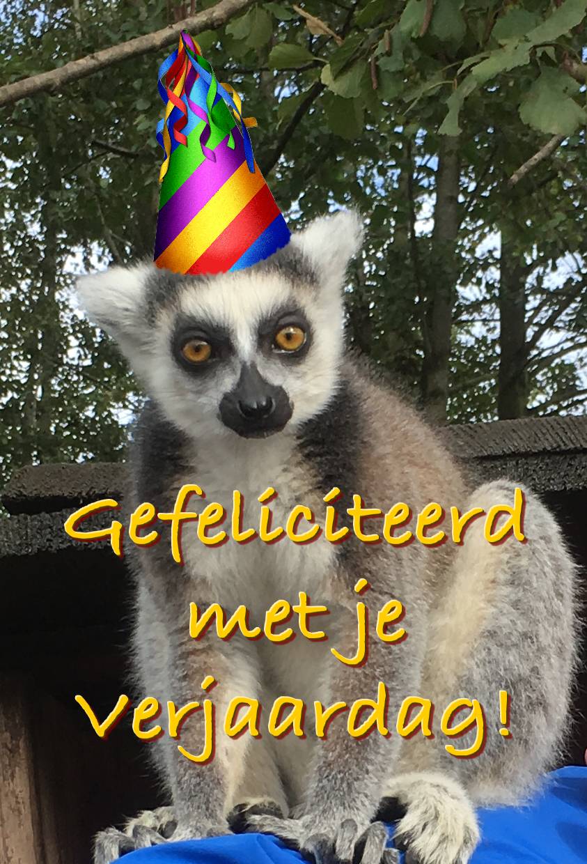 (Foto Gefeliciteerd)